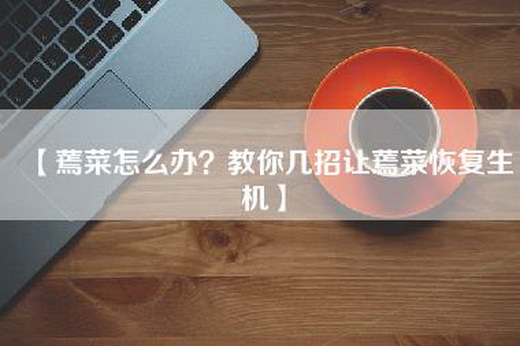 【蔫菜怎么办？教你几招让蔫菜恢复生机】