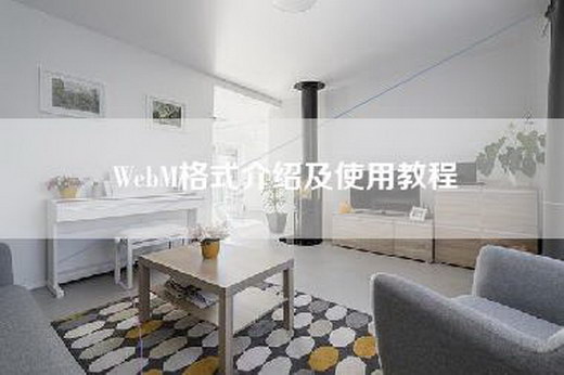 WebM格式介绍及使用教程