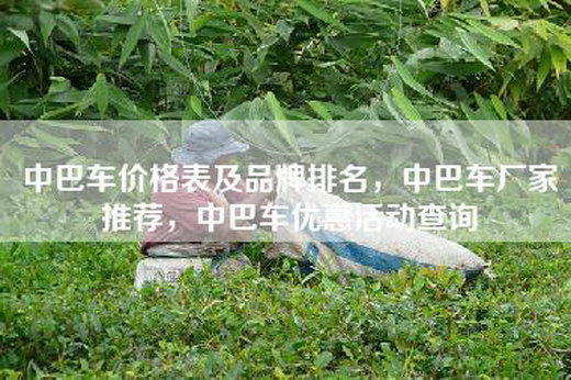 中巴车价格表及品牌排名，中巴车厂家推荐，中巴车优惠活动查询