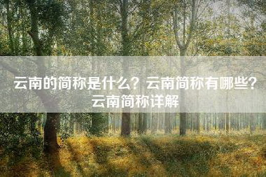 云南的简称是什么？云南简称有哪些？云南简称详解