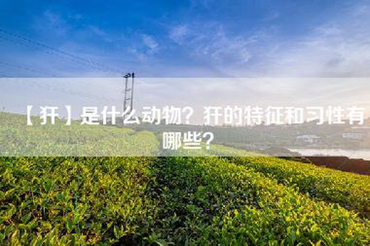 【犴】是什么动物？犴的特征和习性有哪些？