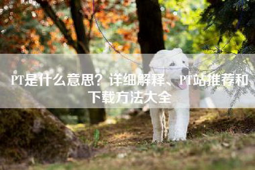 PT是什么意思？详细解释、PT站推荐和下载方法大全