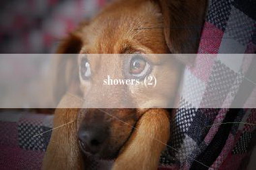 showers (2)