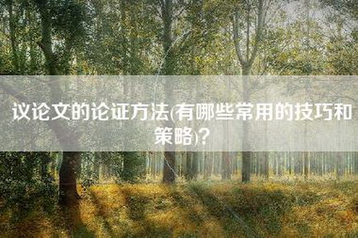 议论文的论证方法(有哪些常用的技巧和策略)？