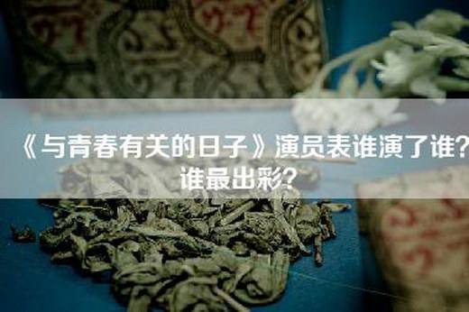 《与青春有关的日子》演员表谁演了谁？谁最出彩？