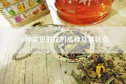 10种常见的花的品种及其特点