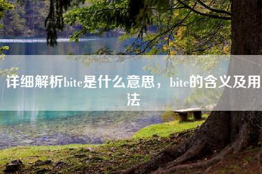 详细解析bite是什么意思，bite的含义及用法