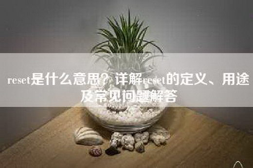 reset是什么意思？详解reset的定义、用途及常见问题解答