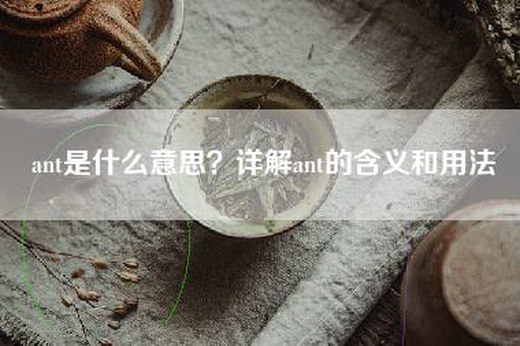 ant是什么意思？详解ant的含义和用法