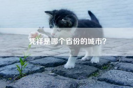 凭祥是哪个省份的城市？