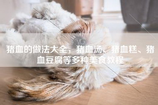 猪血的做法大全，猪血汤、猪血糕、猪血豆腐等多种美食教程