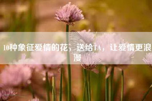 10种象征爱情的花，送给TA，让爱情更浪漫