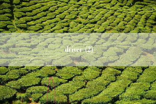 driver (2)