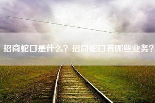 招商蛇口是什么？招商蛇口有哪些业务？