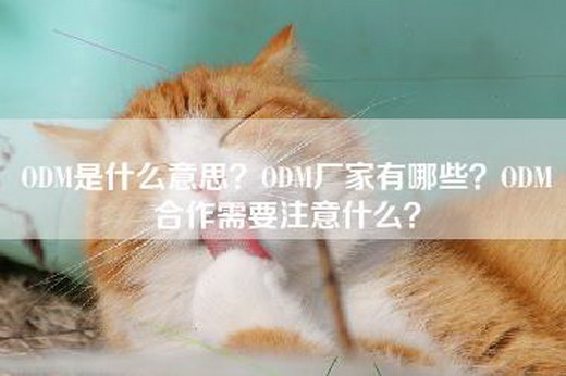 ODM是什么意思？ODM厂家有哪些？ODM合作需要注意什么？