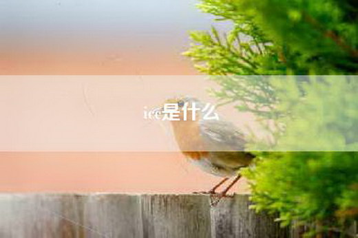 icc是什么