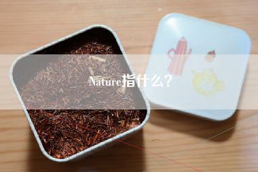 Nature指什么？