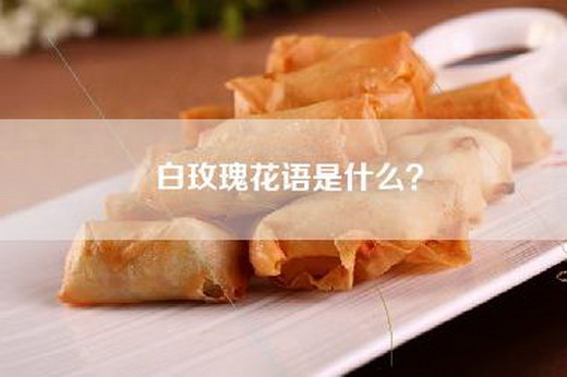 白玫瑰花语是什么？