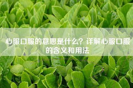 心服口服的意思是什么？详解心服口服的含义和用法