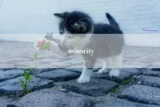 minority