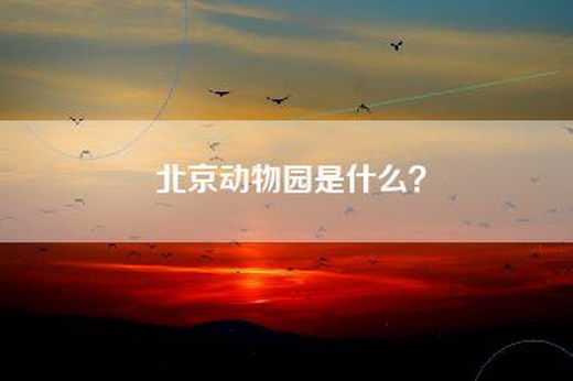 北京动物园是什么？