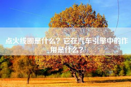 点火线圈是什么？它在汽车引擎中的作用是什么？