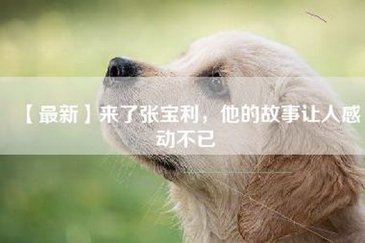 【最新】来了张宝利，他的故事让人感动不已