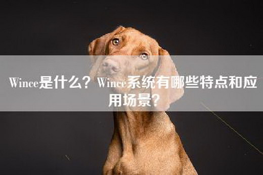 Wince是什么？Wince系统有哪些特点和应用场景？