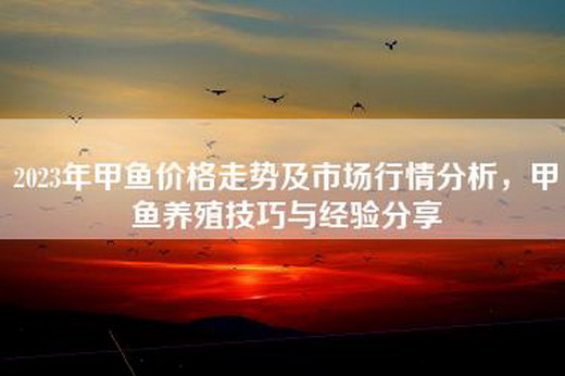 2023年甲鱼价格走势及市场行情分析，甲鱼养殖技巧与经验分享