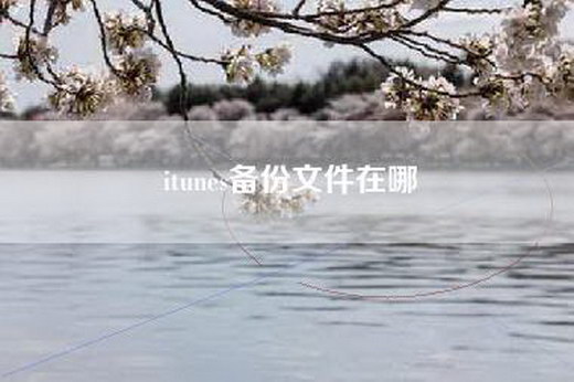 itunes备份文件在哪