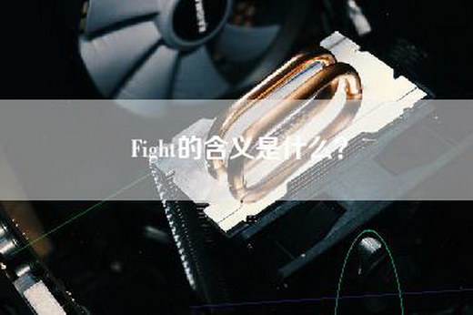 Fight的含义是什么？