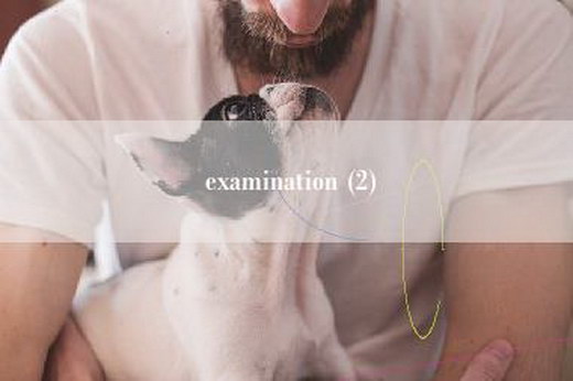 examination (2)