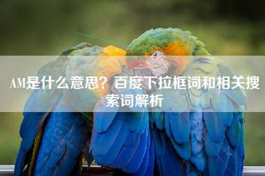 AM是什么意思？百度下拉框词和相关搜索词解析