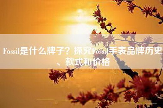 Fossil是什么牌子？探究Fossil手表品牌历史、款式和价格