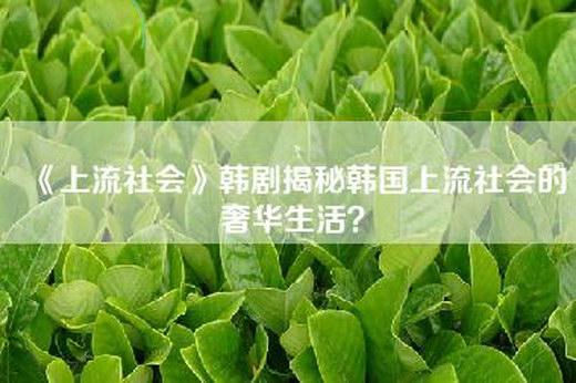 《上流社会》韩剧揭秘韩国上流社会的奢华生活？