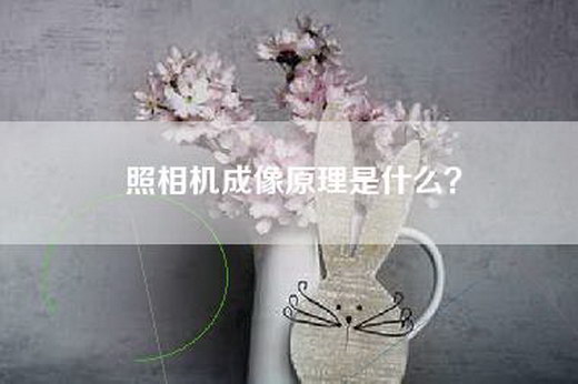 照相机成像原理是什么？