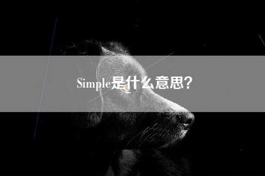 Simple是什么意思？