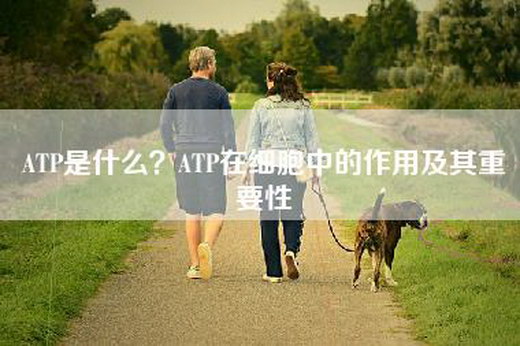 ATP是什么？ATP在细胞中的作用及其重要性