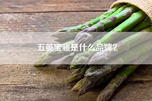 五菱宝骏是什么品牌？