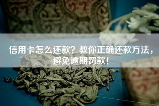 信用卡怎么还款？教你正确还款方法，避免逾期罚款！