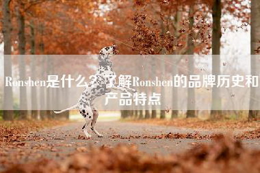 Ronshen是什么？了解Ronshen的品牌历史和产品特点