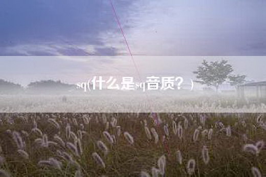 sq(什么是sq音质？)