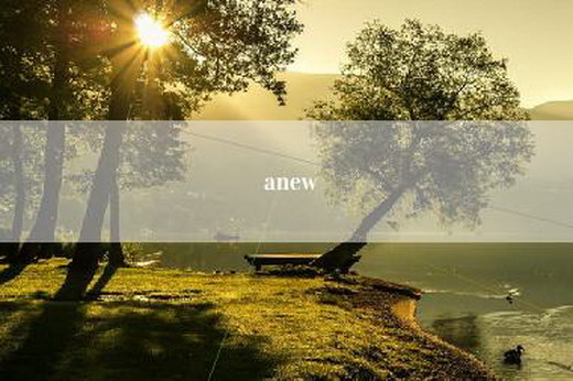 anew