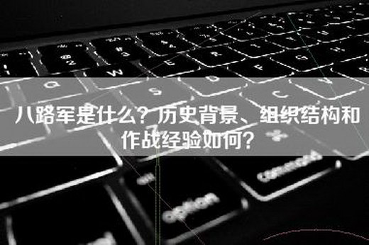 八路军是什么？历史背景、组织结构和作战经验如何？