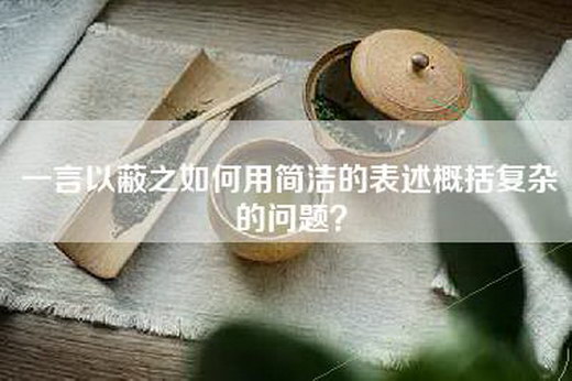 一言以蔽之如何用简洁的表述概括复杂的问题？