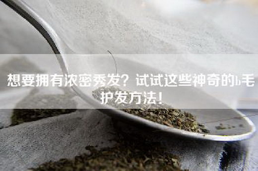 想要拥有浓密秀发？试试这些神奇的b毛护发方法！