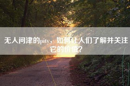 无人问津的pity，如何让人们了解并关注它的价值？