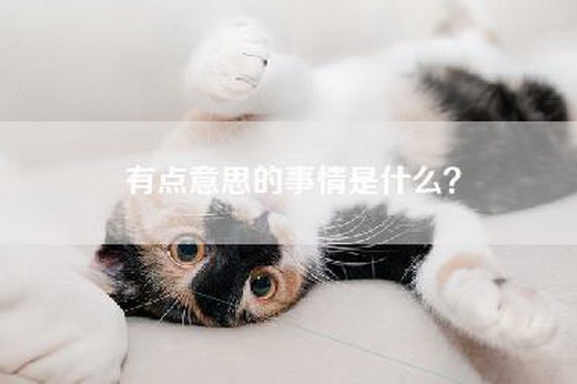 有点意思的事情是什么？