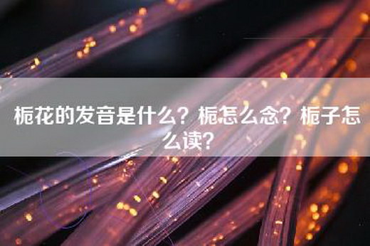 栀花的发音是什么？栀怎么念？栀子怎么读？