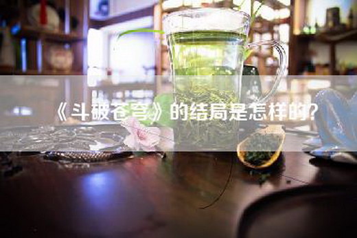 《斗破苍穹》的结局是怎样的？